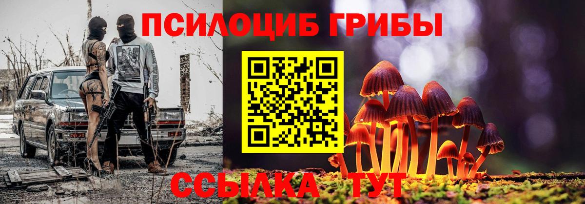 Псилоцибиновые грибы Psilocybe Копейск