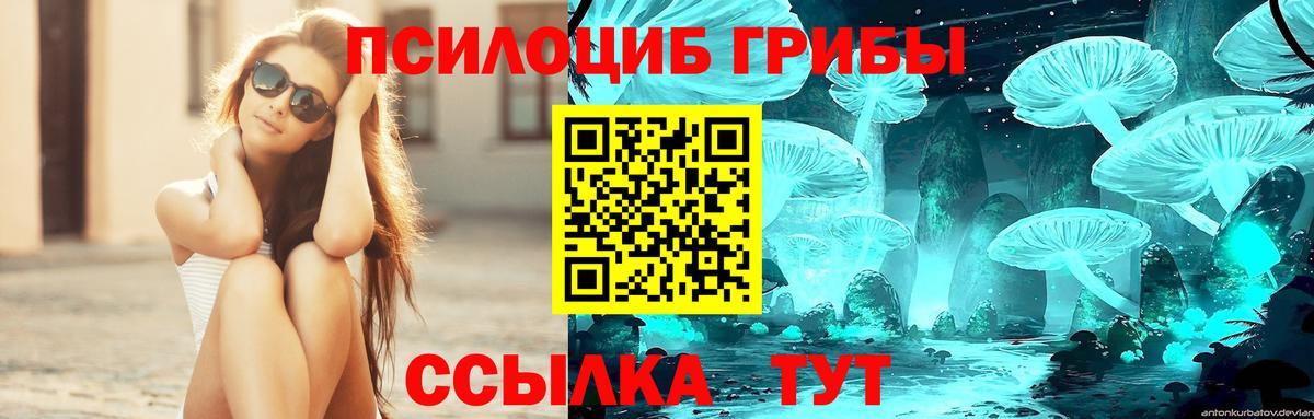 Копейск  Псилоцибиновые грибы Cubensis  Вход с VPN 