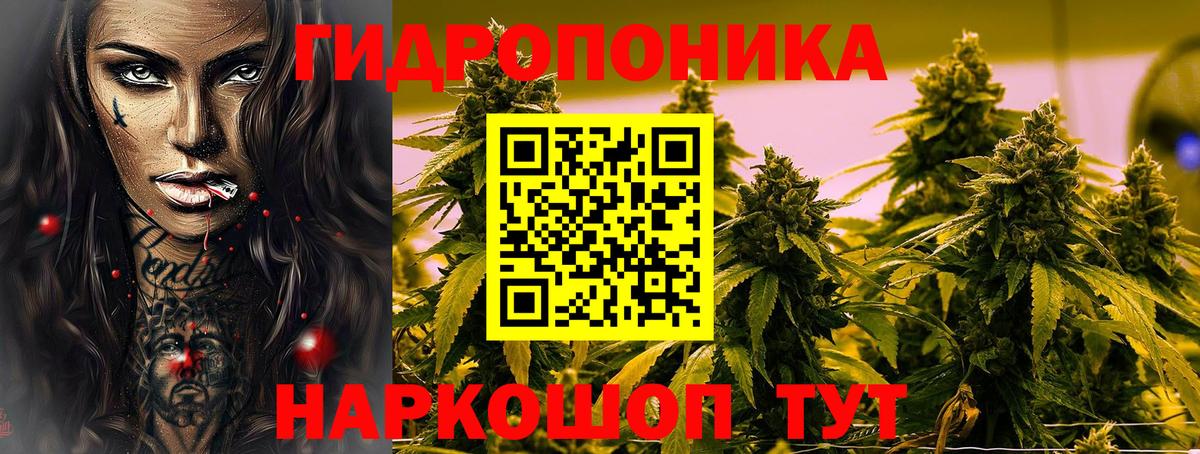 Бошки Шишки Amnesia Копейск